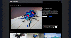 Desktop Screenshot of blog.wildeyeview.com