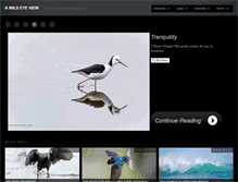 Tablet Screenshot of blog.wildeyeview.com